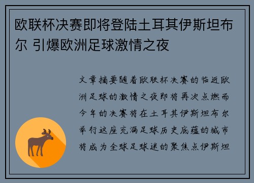 欧联杯决赛即将登陆土耳其伊斯坦布尔 引爆欧洲足球激情之夜