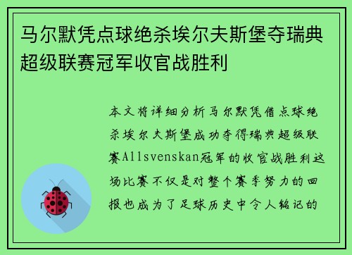 马尔默凭点球绝杀埃尔夫斯堡夺瑞典超级联赛冠军收官战胜利