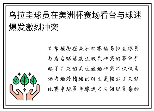 乌拉圭球员在美洲杯赛场看台与球迷爆发激烈冲突